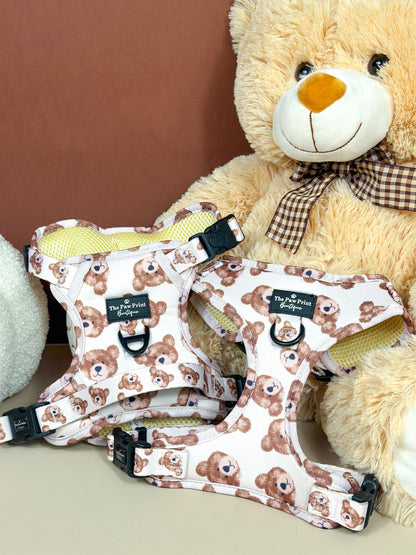 The Little Bear Cub Adventure Paws Harness