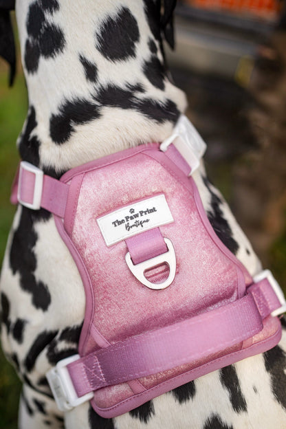 The Pink Pearl Adventure Paws Harness