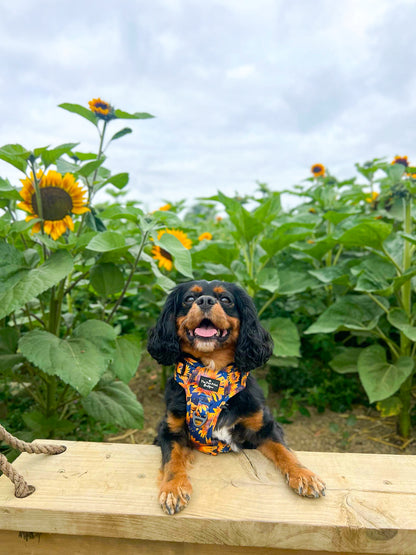 The Sunflower Field Adjustable Harness