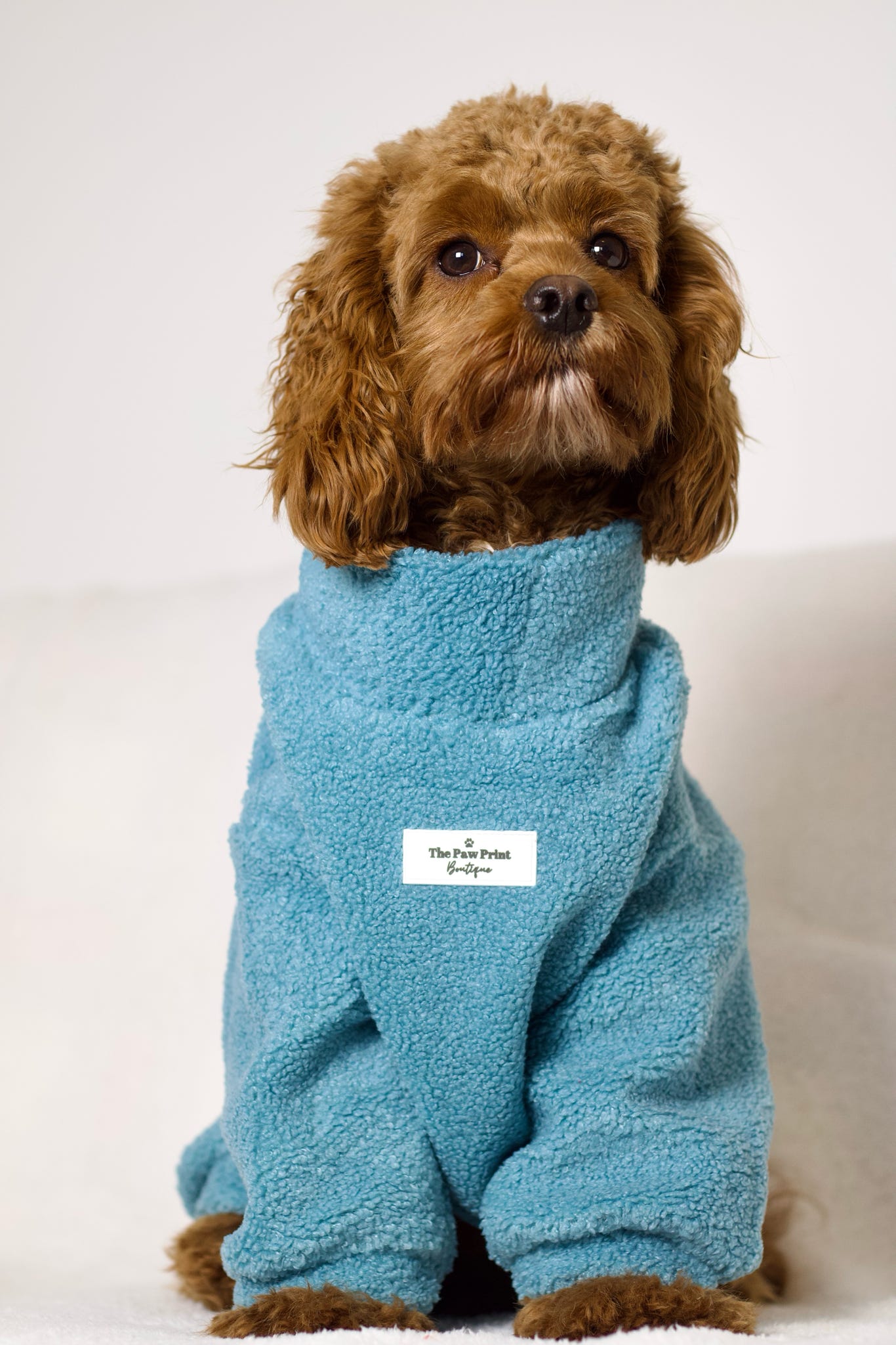 The Sky Blue Teddy Fleece