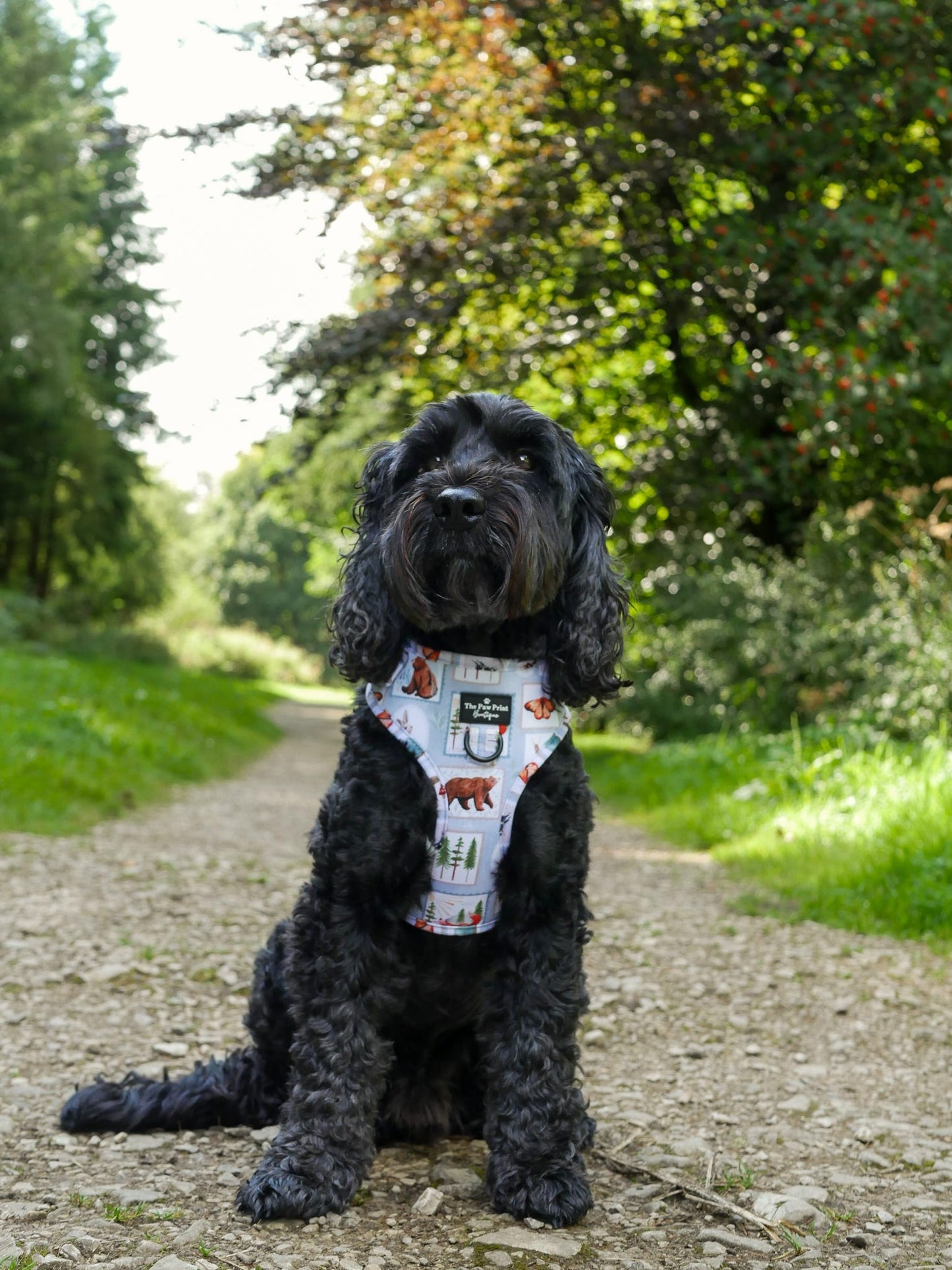 The Woodland Stamps Adjustable Harness