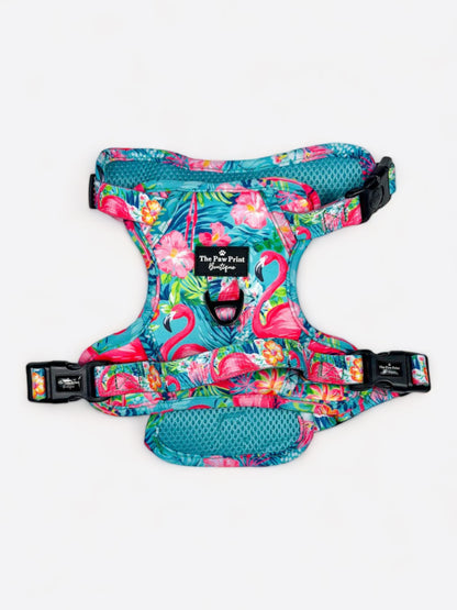 The Tropical Pawradise Adventure Paws Harness