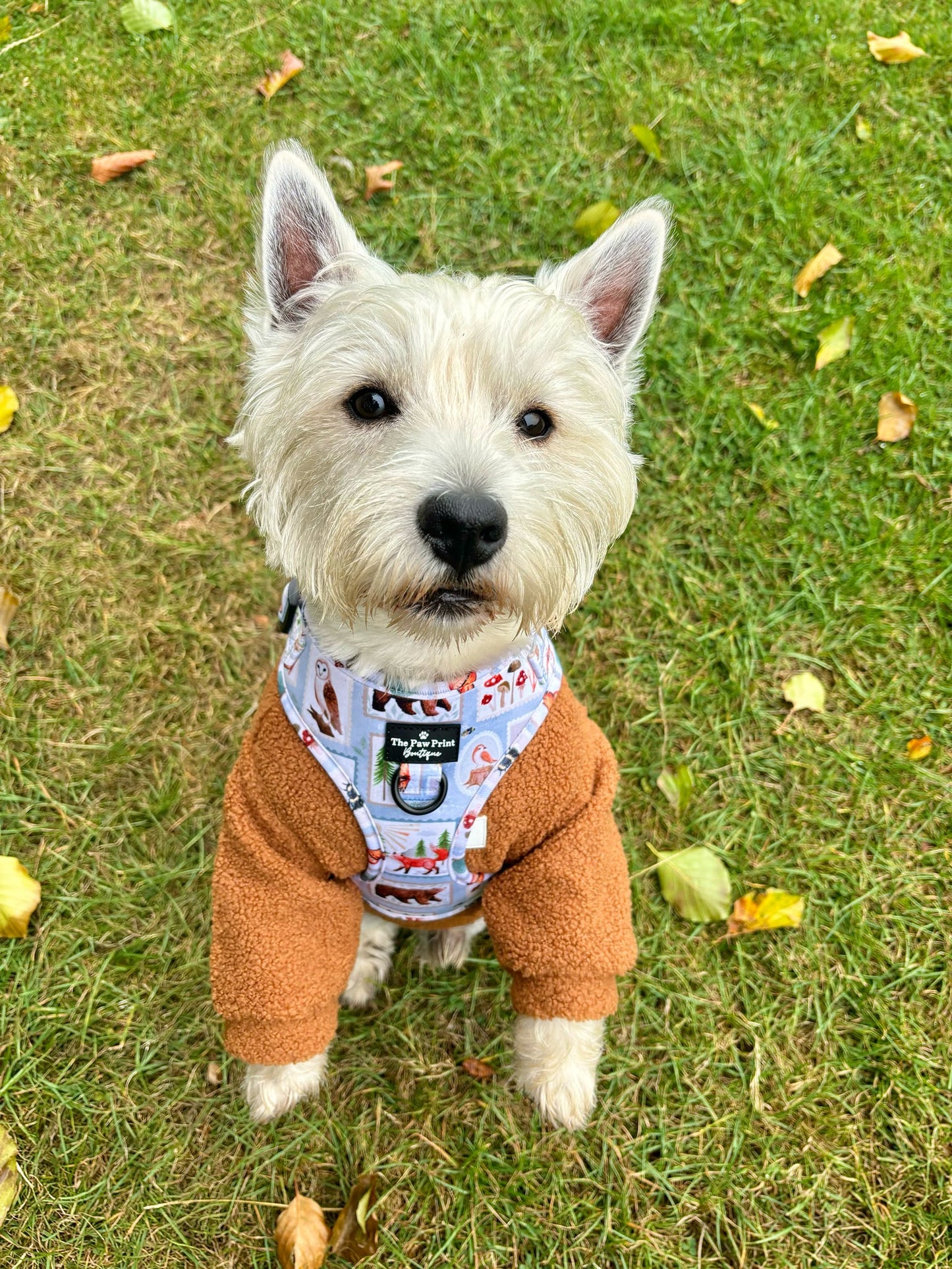 The Gingerbread Teddy Fleece