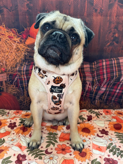 The Leopawrd Pupkins Adventure Paws Harness