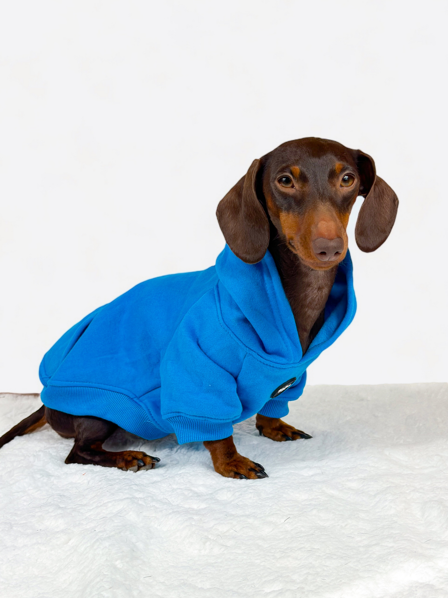 Dog Hoodie - Cobalt Blue