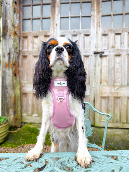 The Pink Pearl Adventure Paws Harness