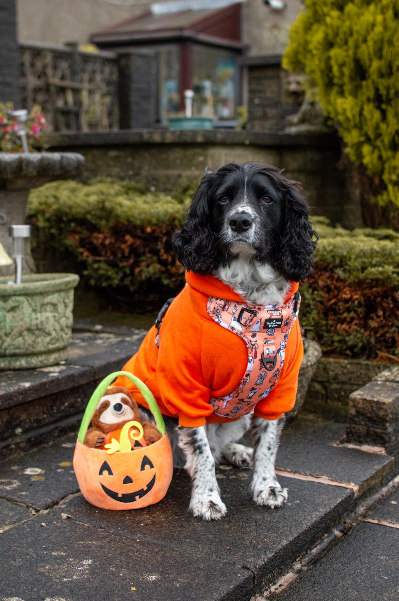 The Happy Howloween Adventure Paws Harness