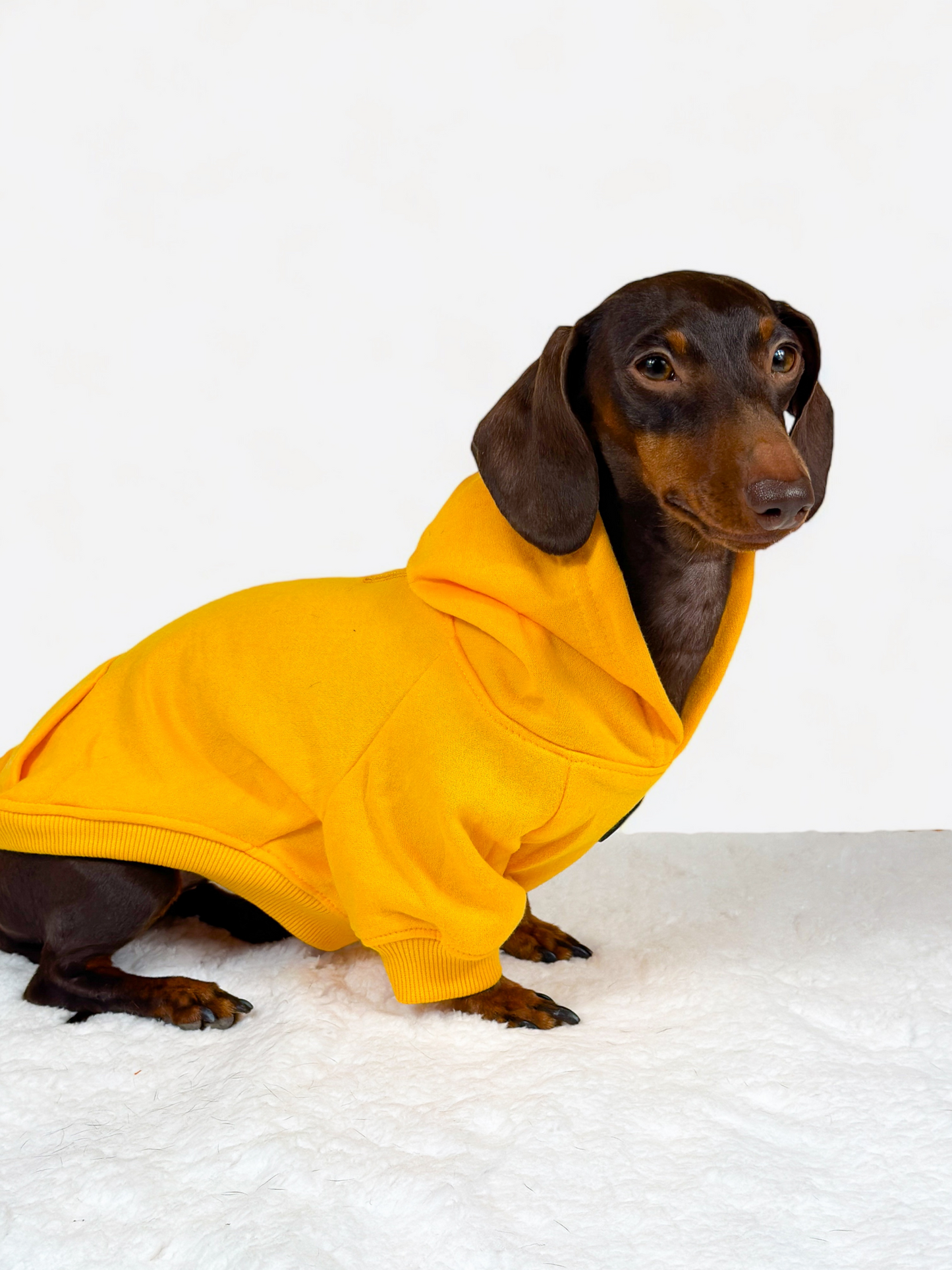 Dog Hoodie - Yellow