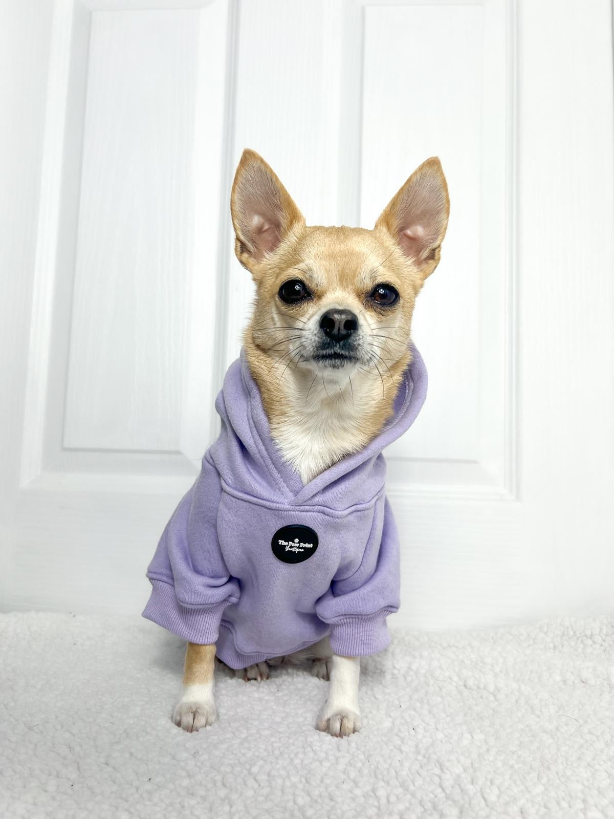 Dog Hoodie - Lilac