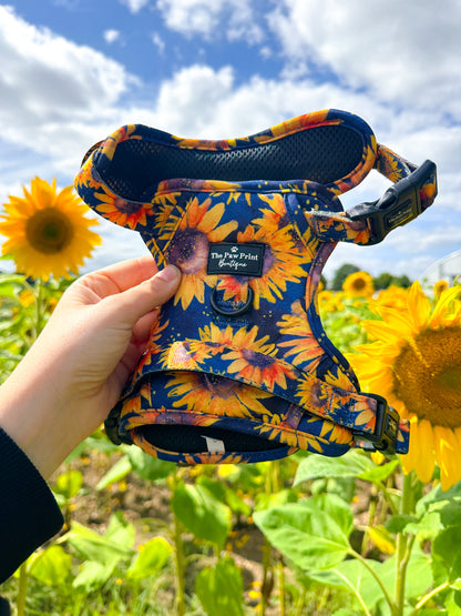 The Sunflower Field Adventure Paws Harness