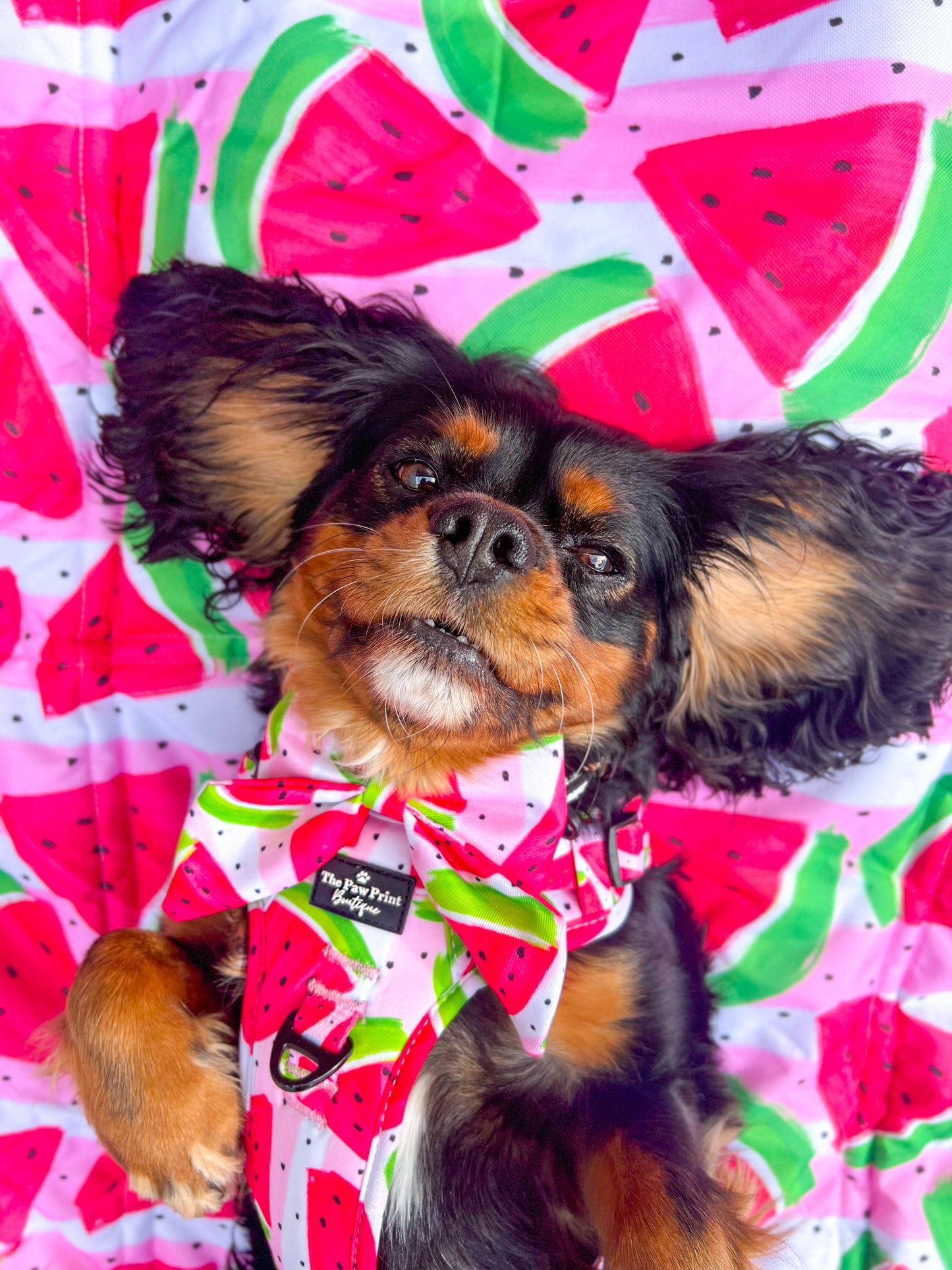 The Watermelon Sugar Picnic Mat