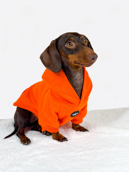 Dog Hoodie - Orange