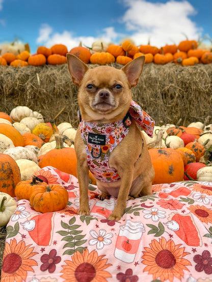 The Pumpkin Pie Adjustable Harness