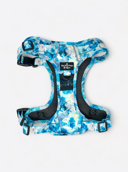 The Cute as Shell Adjustable Harness