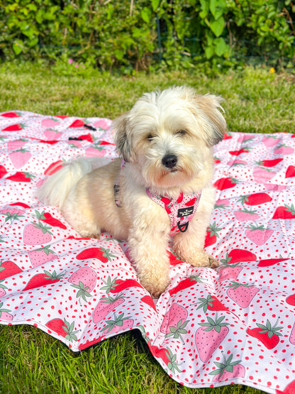 The Sweet Strawberries Picnic Mat