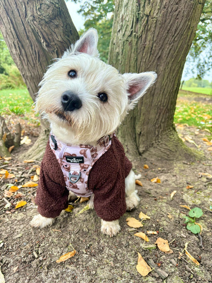 The Little Bear Cub Adventure Paws Harness