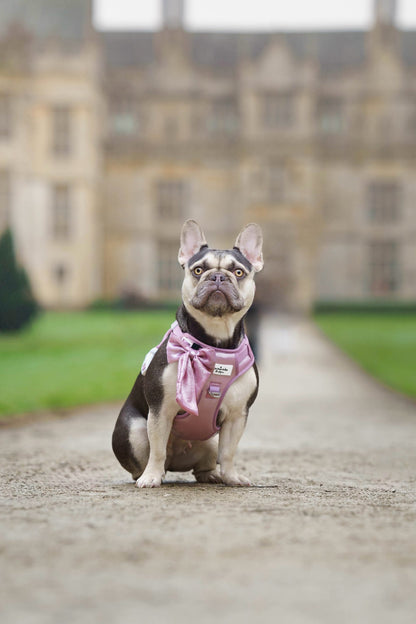 The Pink Pearl Bow Tie