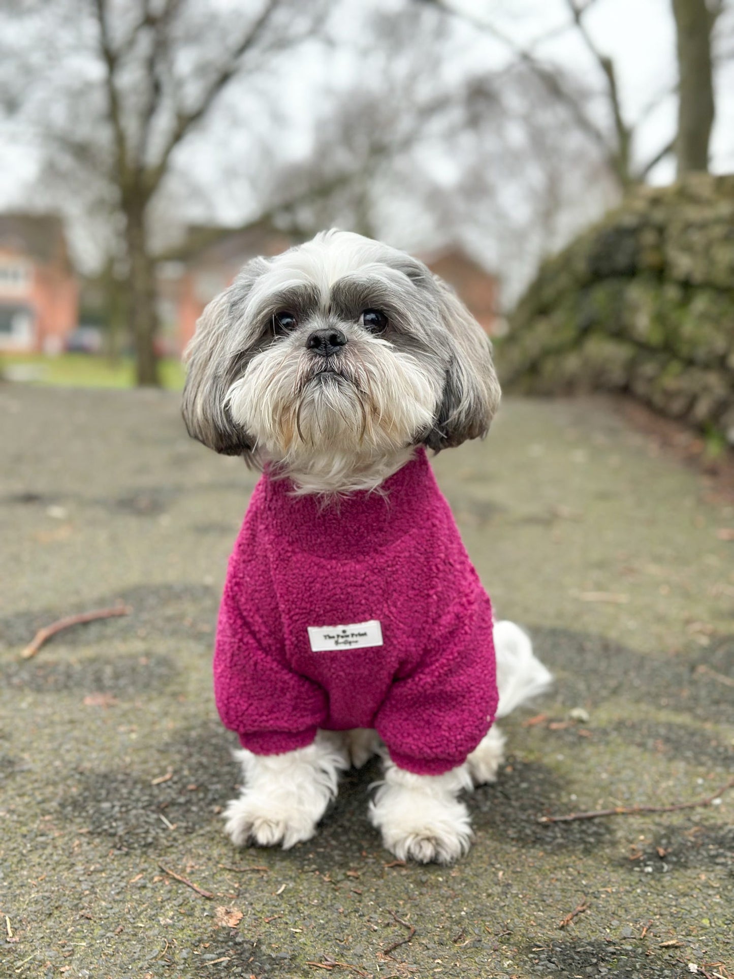 The Magenta Teddy Fleece