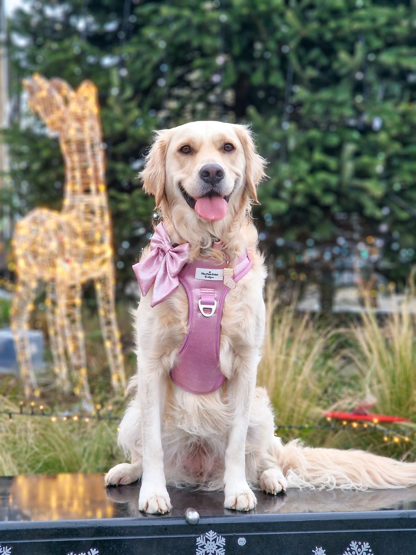 The Pink Pearl Bow Tie