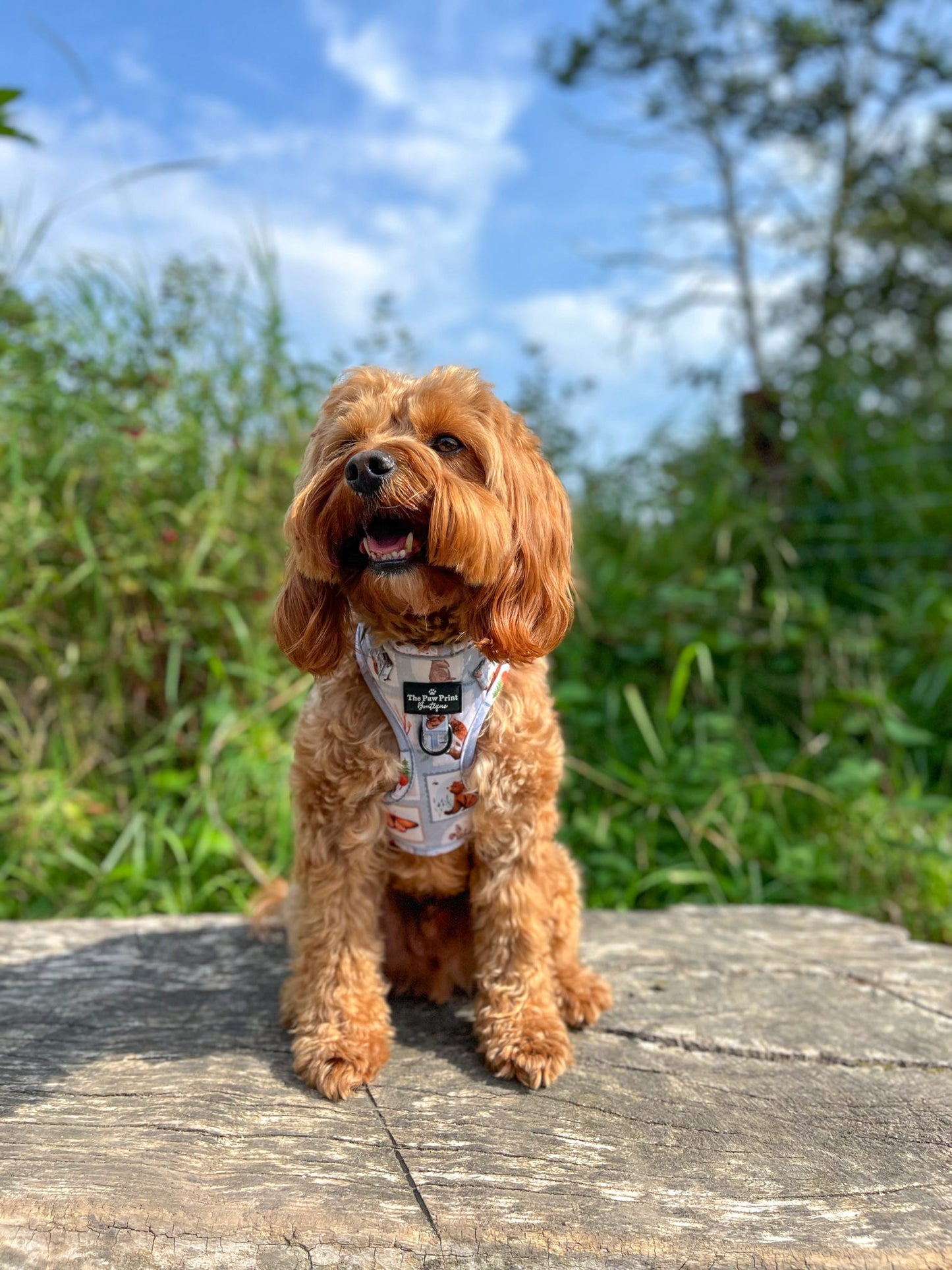 The Woodland Stamps Adjustable Harness