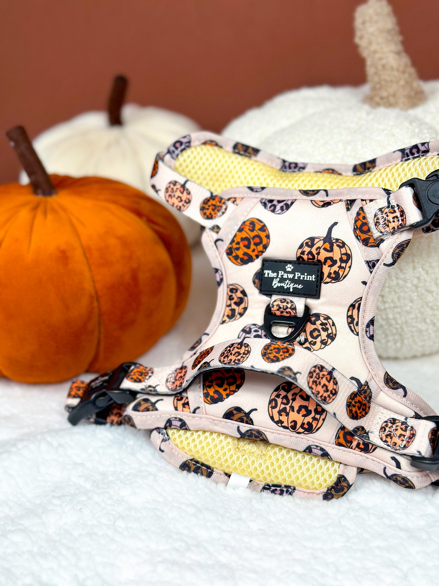 The Leopawrd Pupkins Adventure Paws Harness