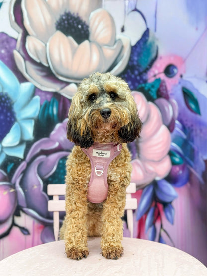 The Pink Pearl Adventure Paws Harness