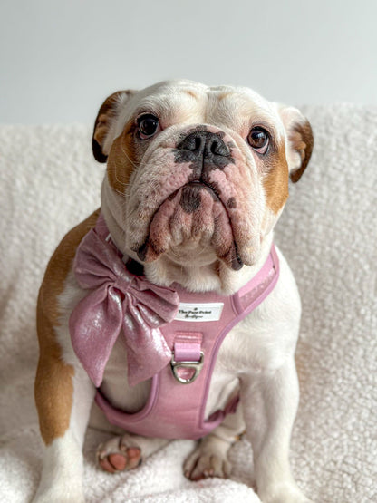 The Pink Pearl Adventure Paws Harness