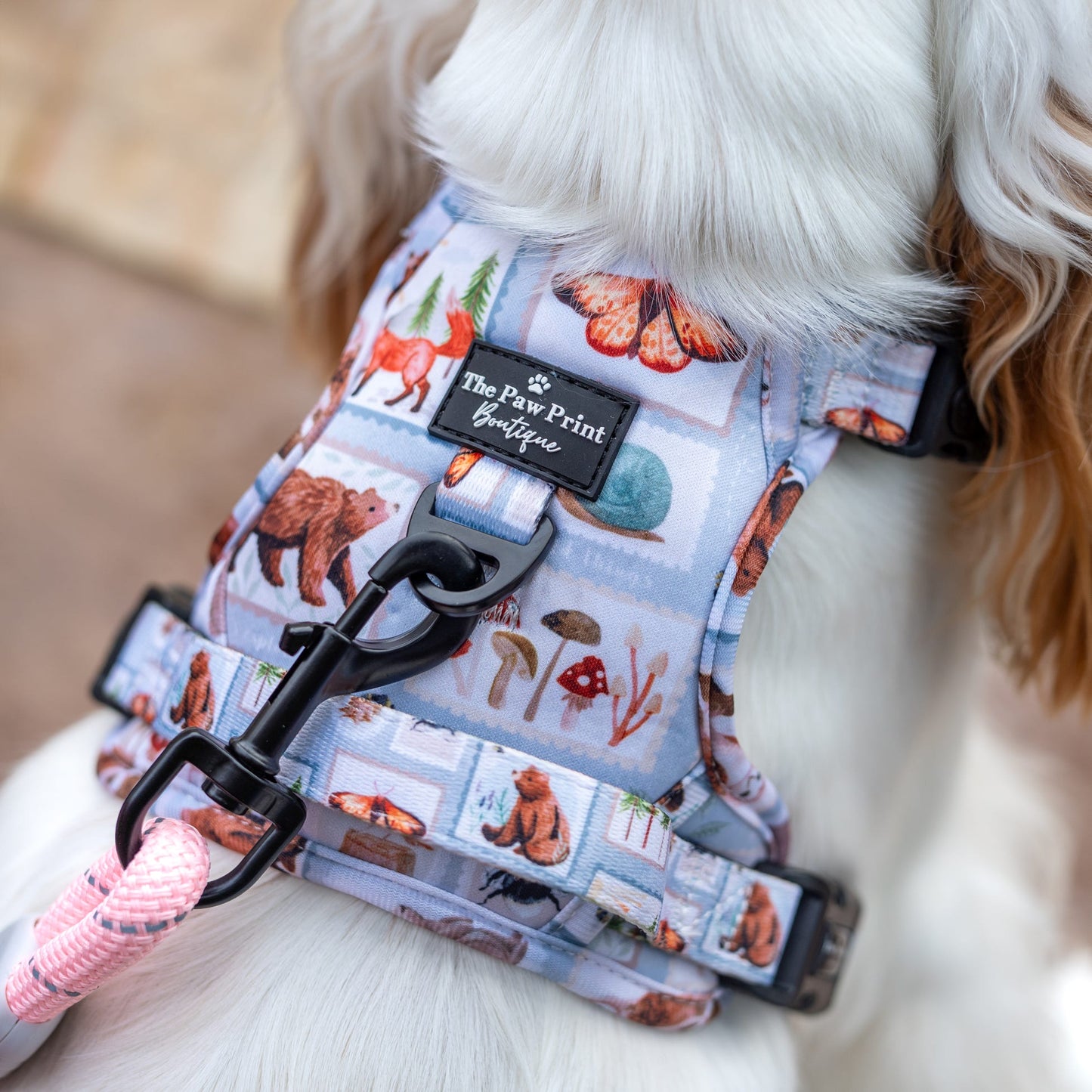 The Woodland Stamps Adventure Paws Harness