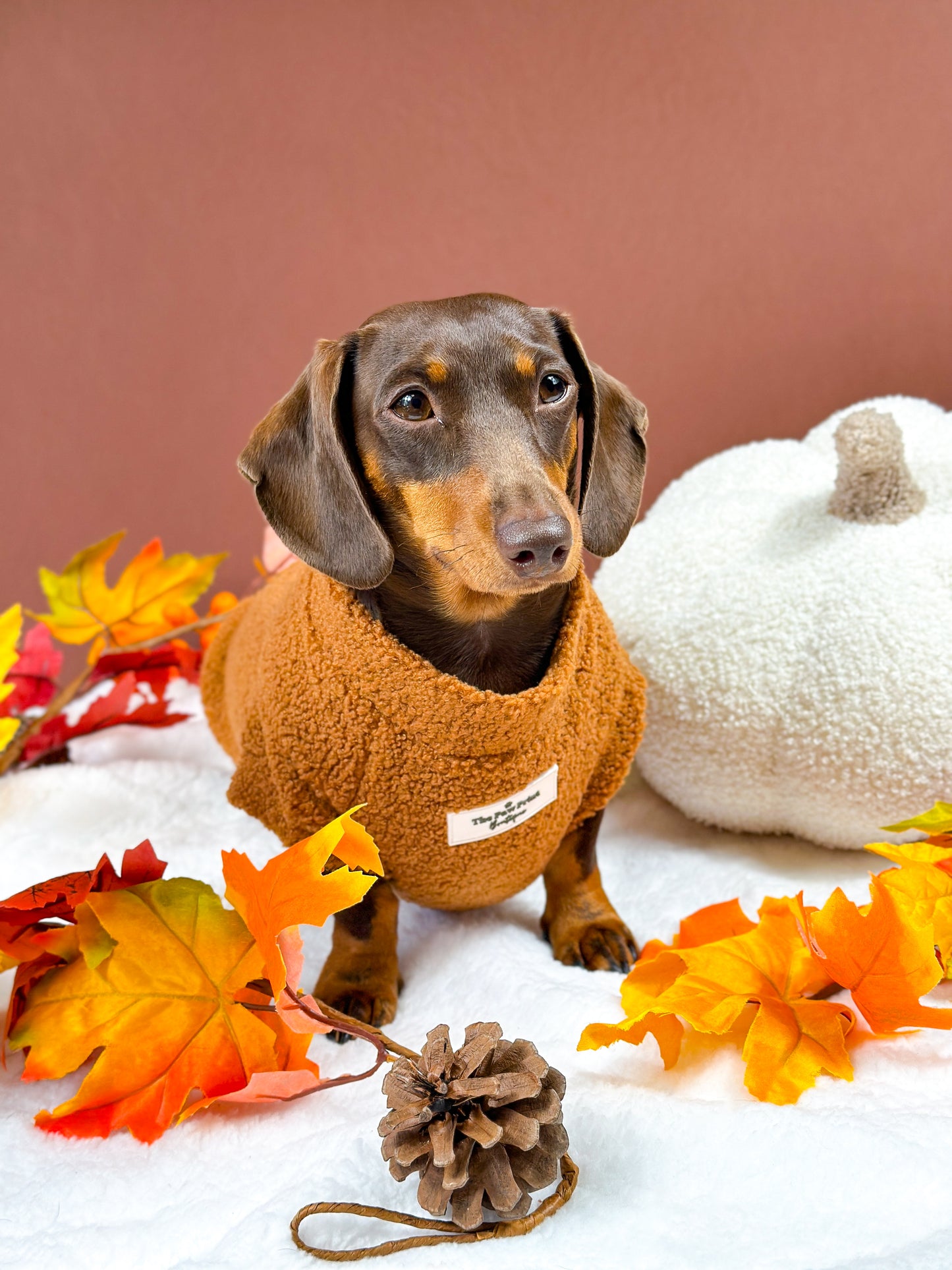 The Gingerbread Teddy Fleece