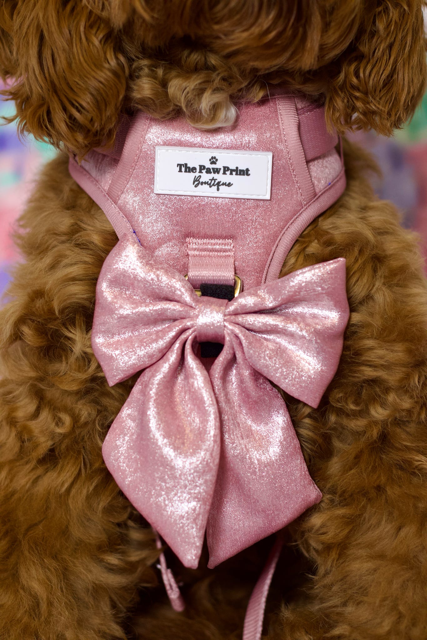 The Pink Pearl Adventure Paws Harness