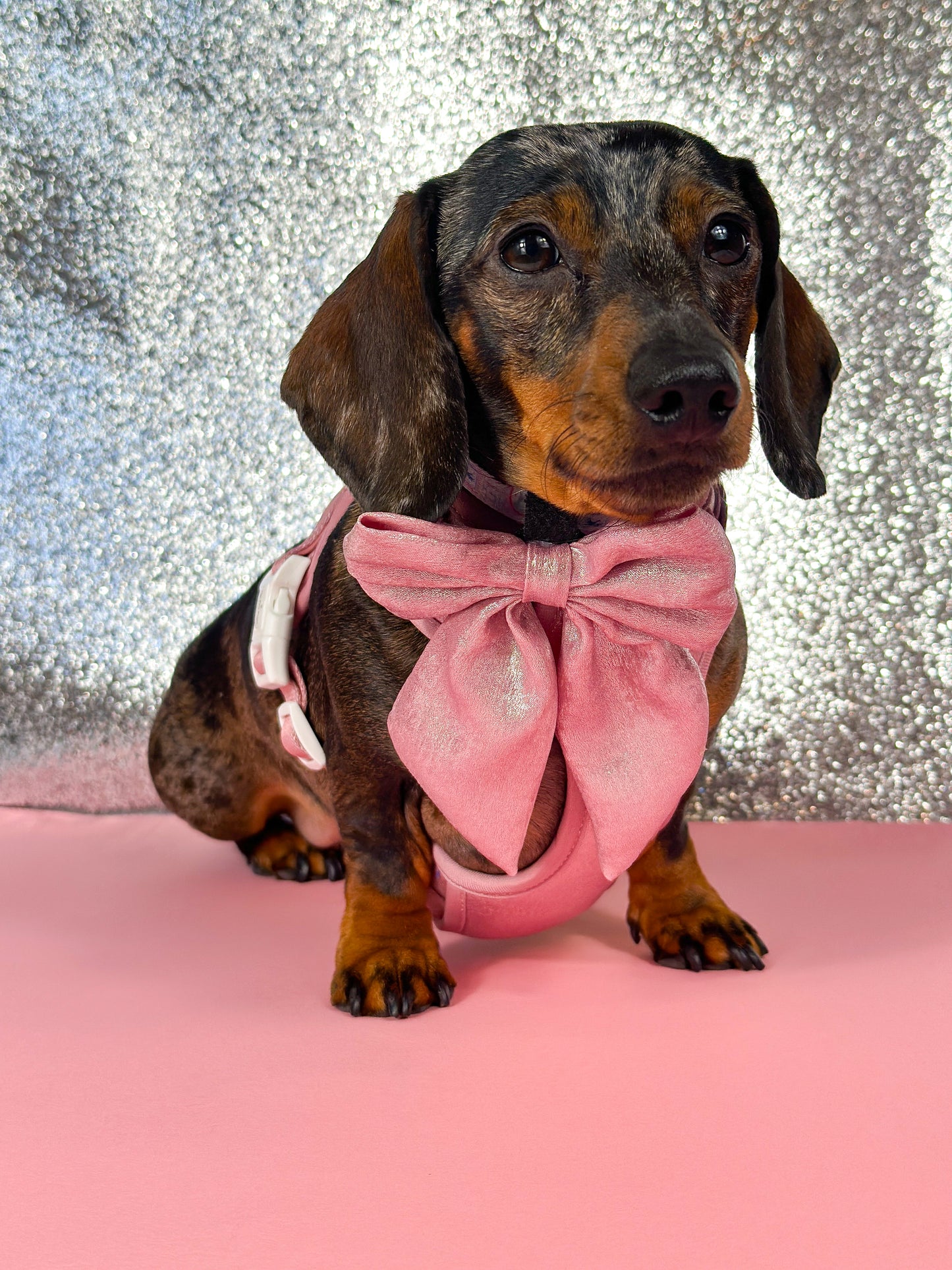 The Pink Pearl Bow Tie