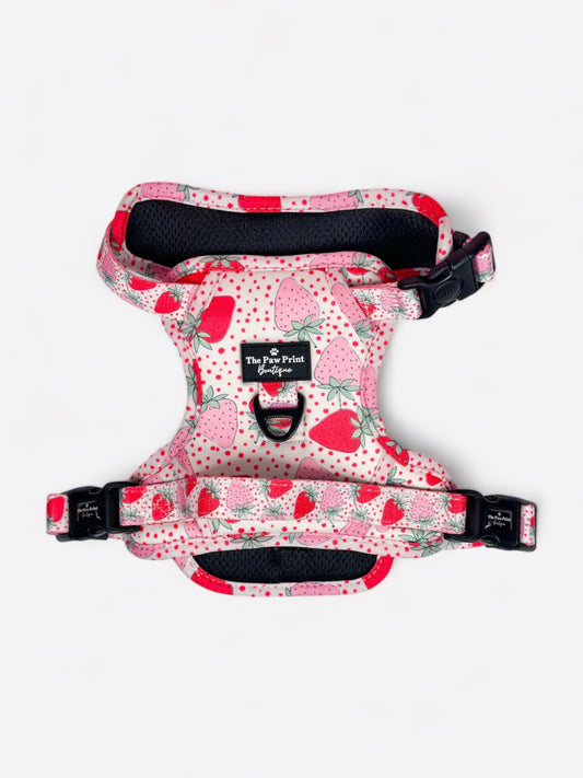 The Sweet Strawberries Adventure Paws Harness