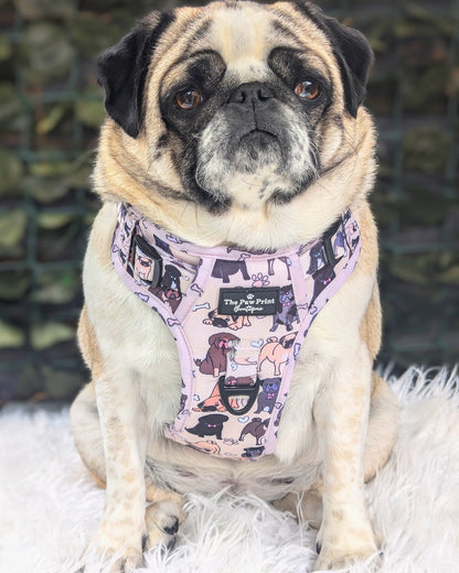 The Pug Adventure Paws Harness