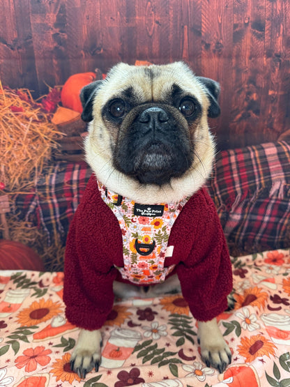 The Pumpkin Pie Adventure Paws Harness