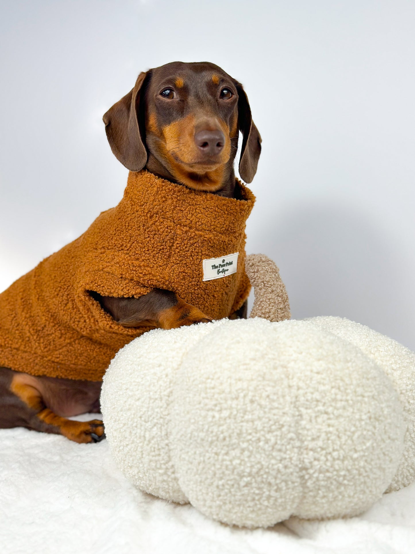 The Gingerbread Teddy Fleece