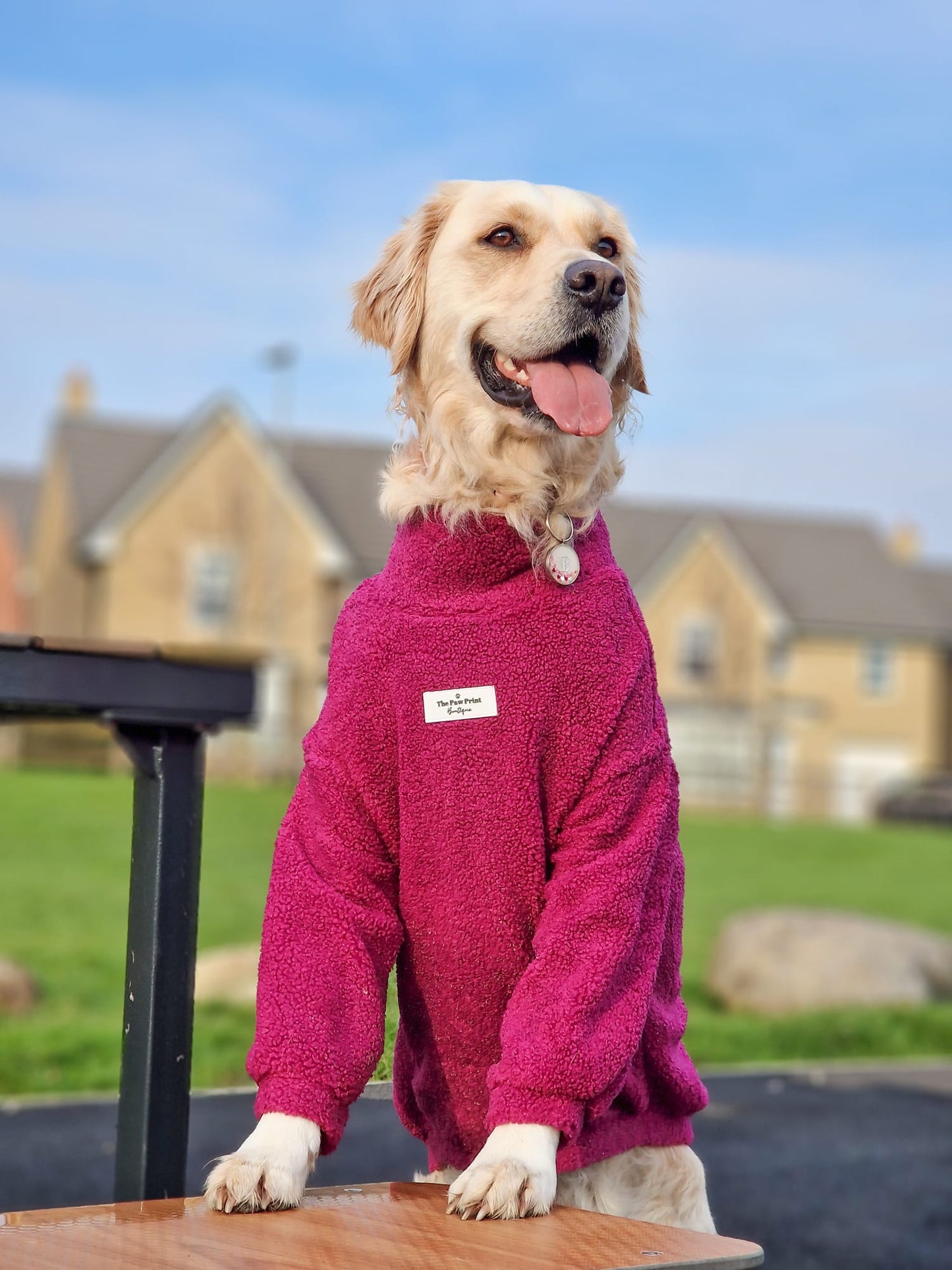 The Magenta Teddy Fleece