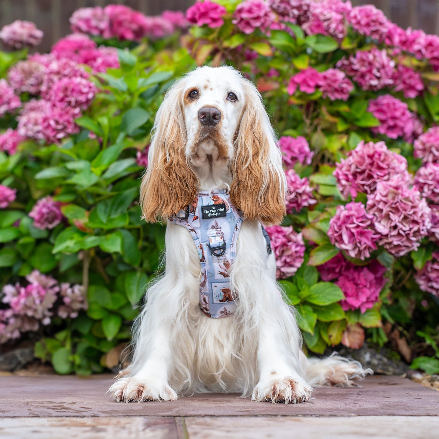 The Woodland Stamps Adventure Paws Harness