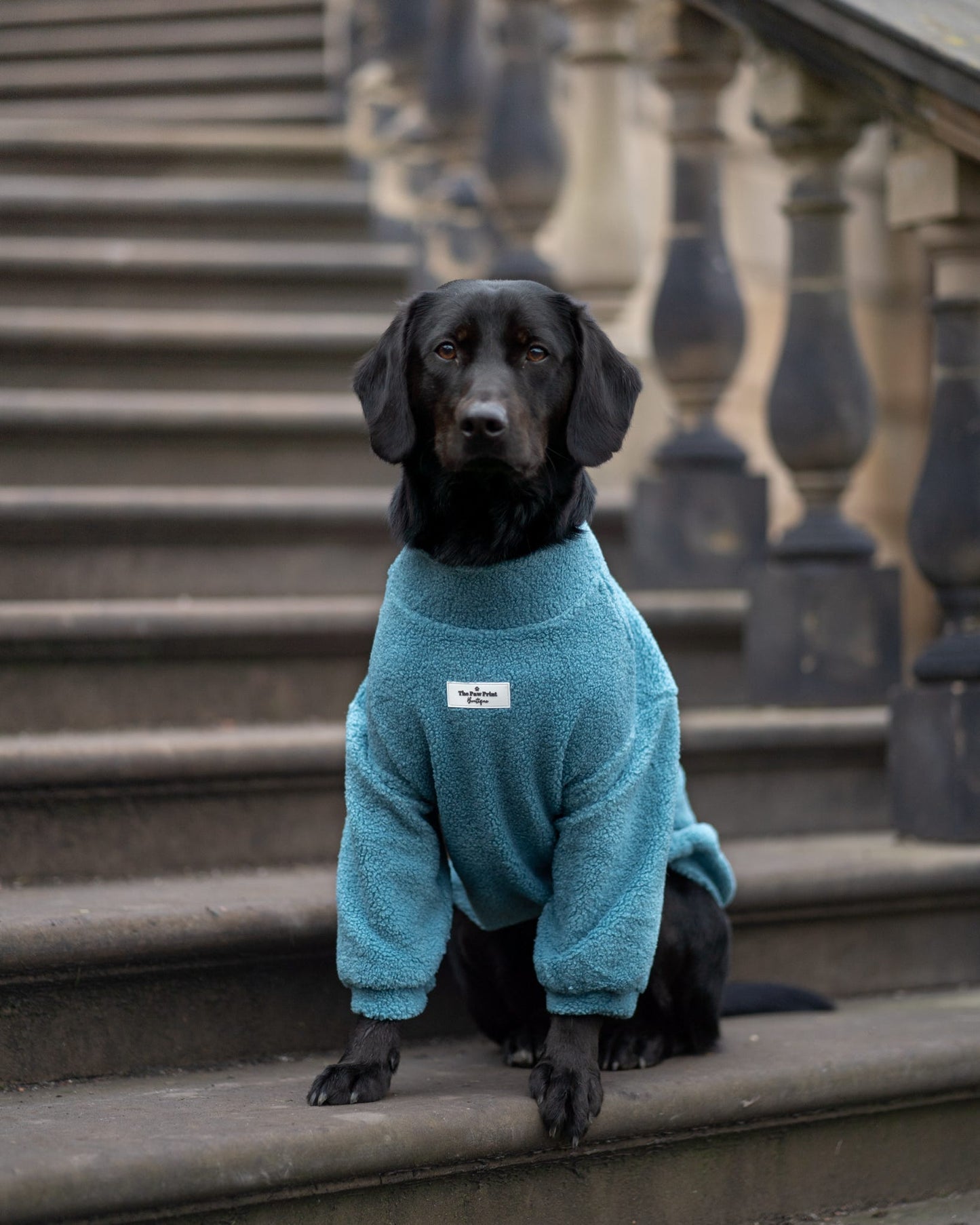 The Sky Blue Teddy Fleece