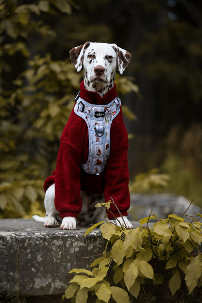 The Woodland Stamps Adventure Paws Harness