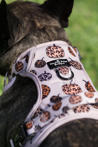 The Leopawrd Pupkins Adventure Paws Harness