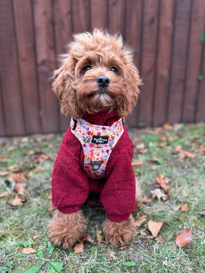 The Pumpkin Pie Adventure Paws Harness