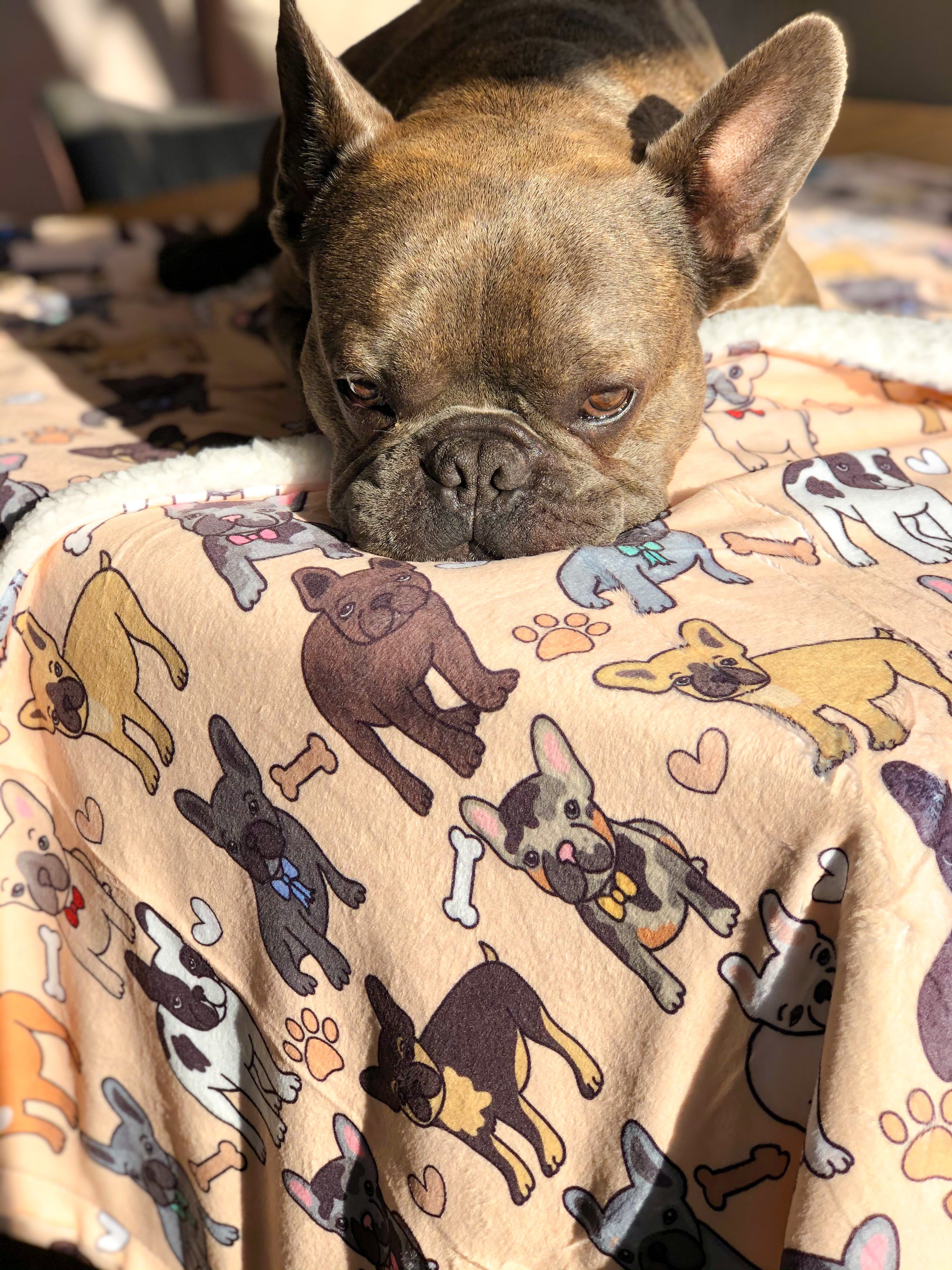 French bulldog fleece clearance blanket