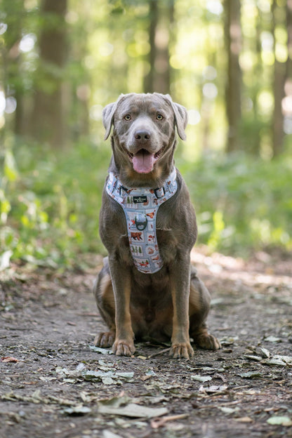 The Woodland Stamps Adventure Paws Harness