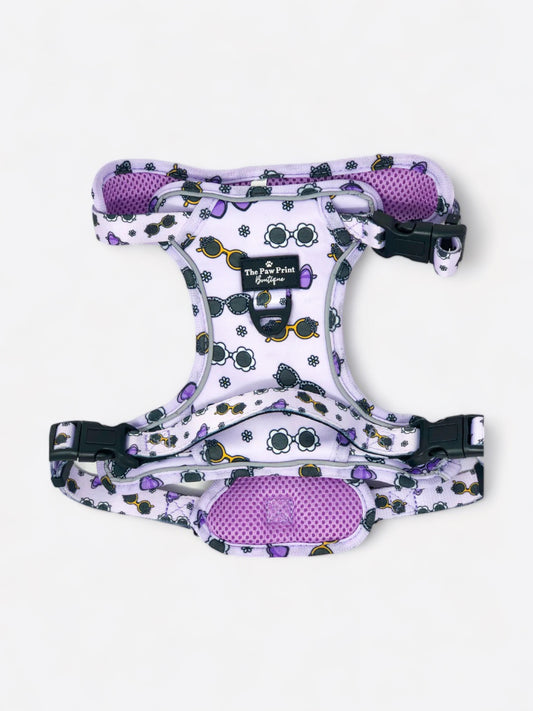The Sassy Sunnies Adventure Paws Harness