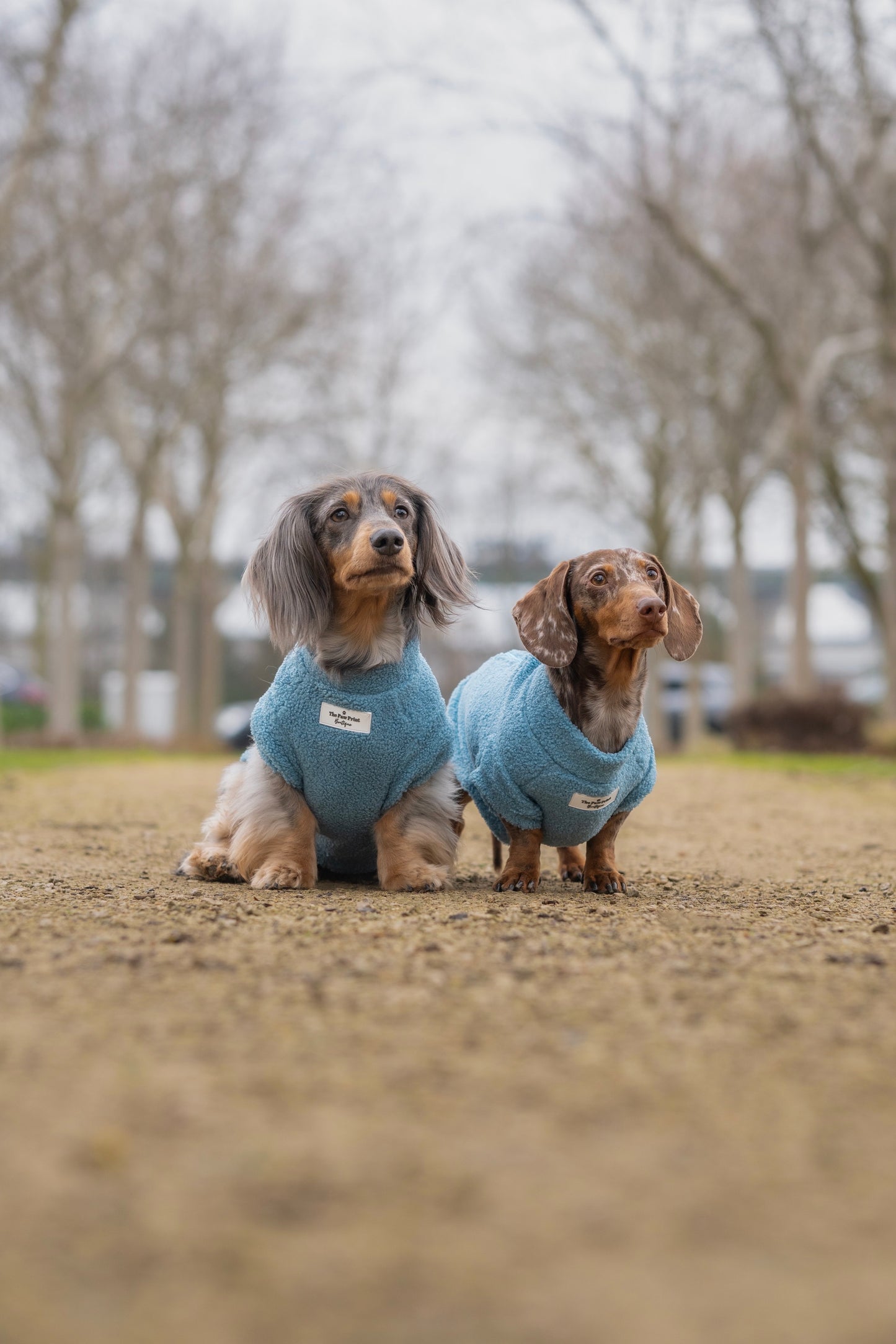 The Sky Blue Teddy Fleece