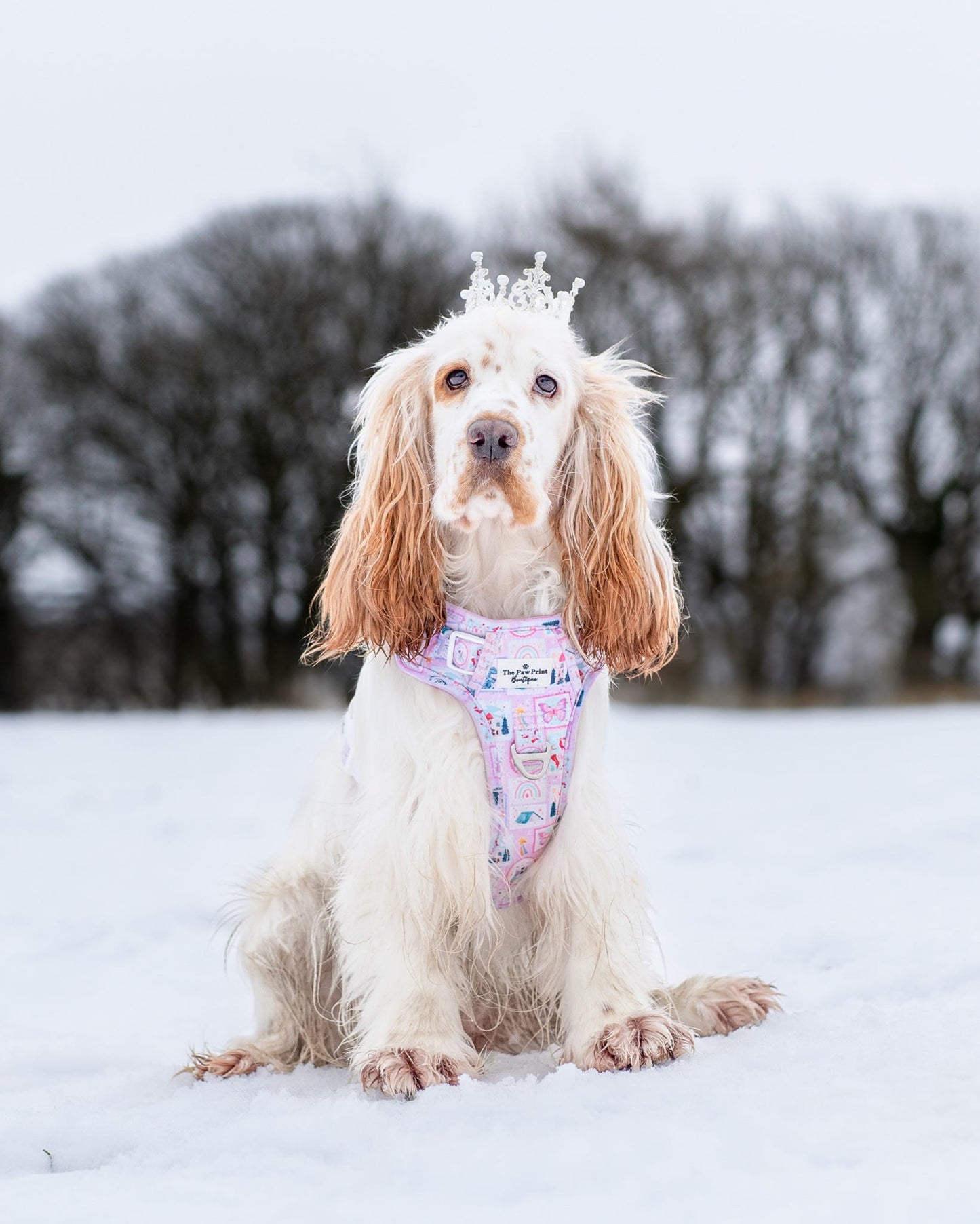 Once Upon a Pup Adventure Paws Harness