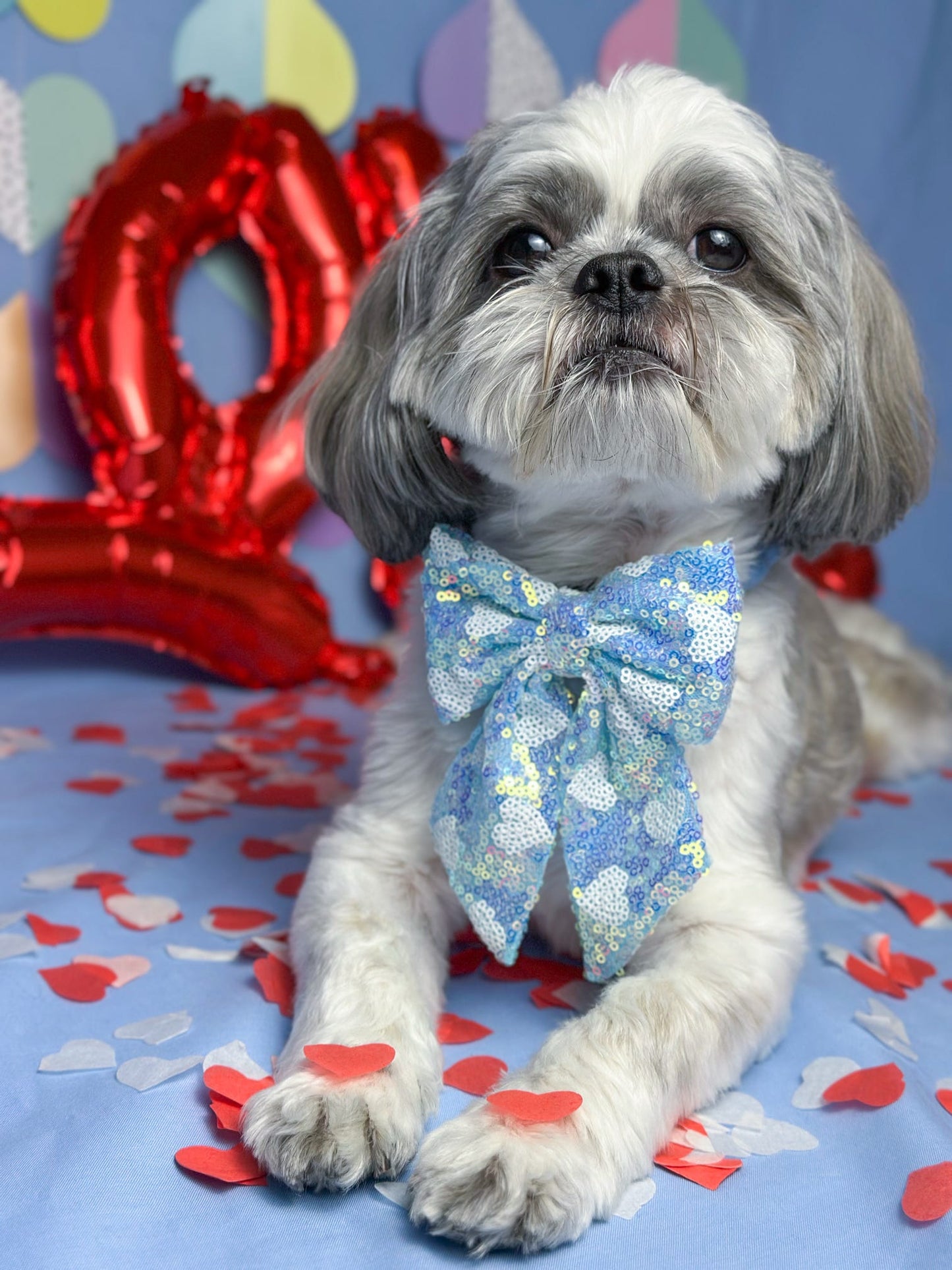 The Sassy in Sequins - Baby Blue Bow Tie