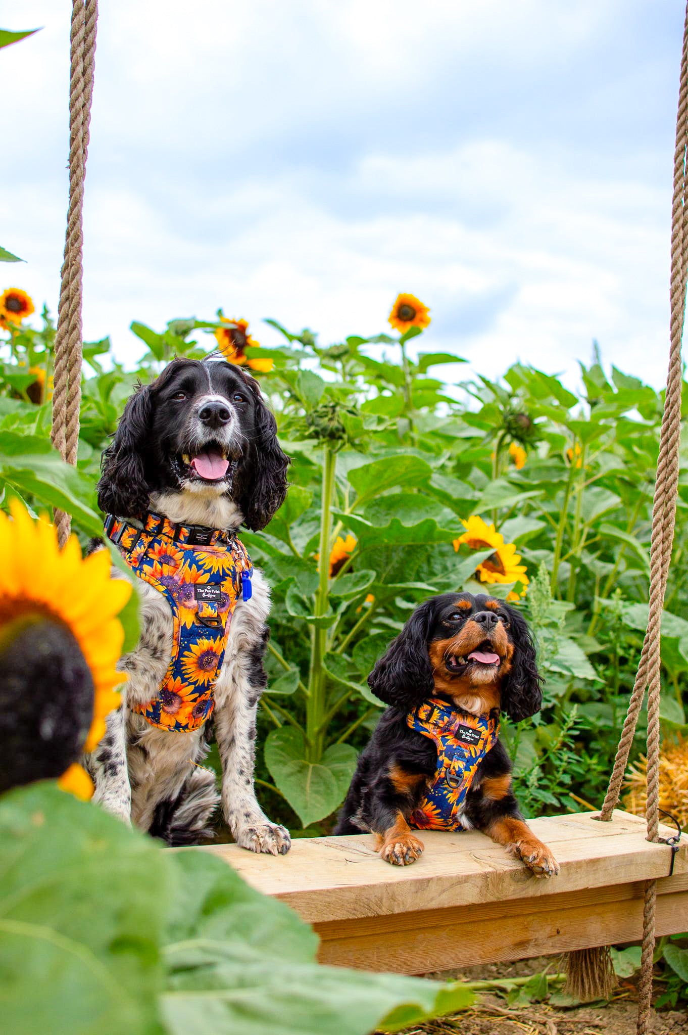 The Sunflower Field Adjustable Harness