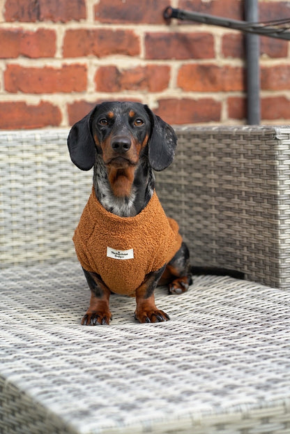 The Gingerbread Teddy Fleece