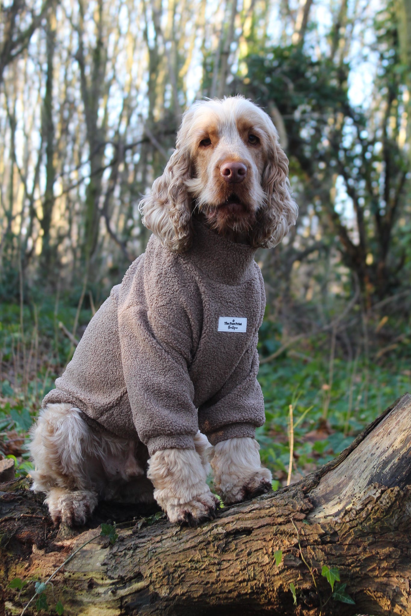 The Mocha Teddy Fleece